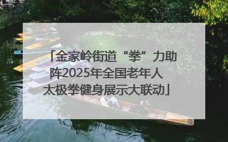 金家岭街道“拳”力助阵2025年全国老年人太极拳健身展示大联动