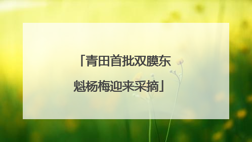 青田首批双膜东魁杨梅迎来采摘