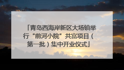青岛西海岸新区大场镇举行“前河小院”共富项目（第一批）集中开业仪式