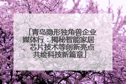 青岛隐形独角兽企业媒体行：揭秘智能家居、芯片技术等创新亮点 共绘科技新篇章