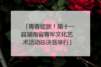 青春绽放！第十一届湖南省青年文化艺术活动总决赛举行