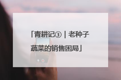 青耕记③｜老种子蔬菜的销售困局