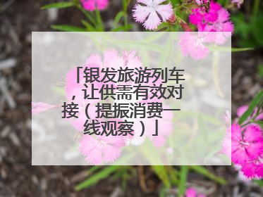 银发旅游列车，让供需有效对接（提振消费一线观察）