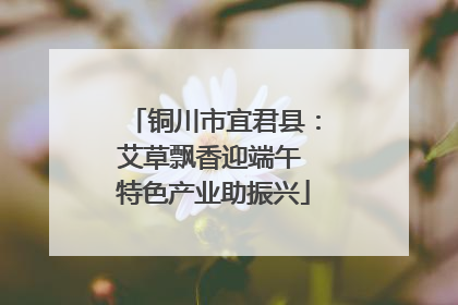 铜川市宜君县：艾草飘香迎端午 特色产业助振兴