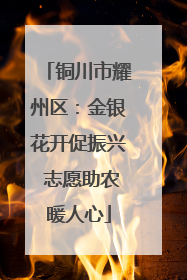 铜川市耀州区：金银花开促振兴 志愿助农暖人心