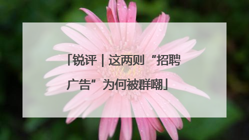 锐评｜这两则“招聘广告”为何被群嘲