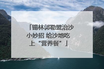 锡林郭勒盟治沙小妙招 给沙地吃上“营养餐”