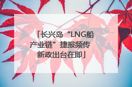 长兴岛“LNG船产业链”捷报频传 新政出台在即