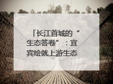 长江首城的“生态答卷”：宜宾绘就上游生态屏障新图景｜中华环保世纪行