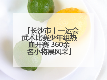 长沙市十一运会武术比赛少年组热血开赛 360余名小将展风采
