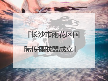 长沙市雨花区国际传播联盟成立