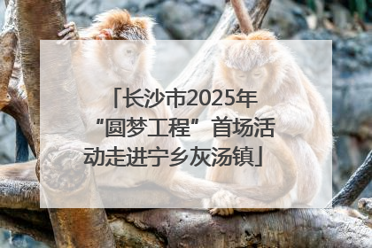 长沙市2025年“圆梦工程”首场活动走进宁乡灰汤镇