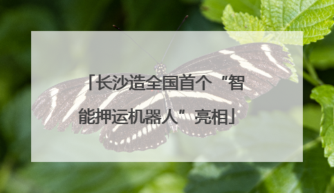 长沙造全国首个“智能押运机器人”亮相