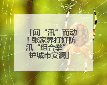 闻“汛”而动！张家界打好防汛“组合拳” 护城市安澜
