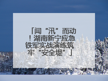 闻“汛”而动！湖南新宁应急铁军实战演练筑牢“安全堤”
