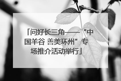 问好长三角——“中国羊谷 善美环州”专场推介活动举行