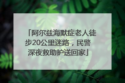 阿尔兹海默症老人徒步20公里迷路，民警深夜救助护送回家