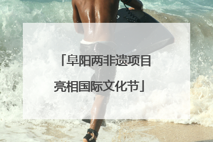 阜阳两非遗项目亮相国际文化节