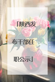 陕西发布干部任职公示