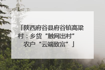 陕西府谷县府谷镇高梁村：乡货“触网出村” 农户“云端致富”