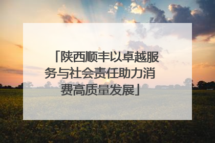 陕西顺丰以卓越服务与社会责任助力消费高质量发展