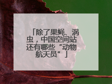 除了果蝇、涡虫，中国空间站还有哪些“动物航天员”