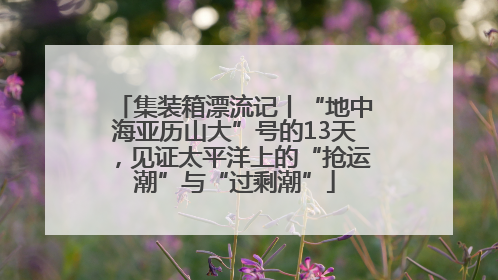 集装箱漂流记丨“地中海亚历山大”号的13天，见证太平洋上的“抢运潮”与“过剩潮”