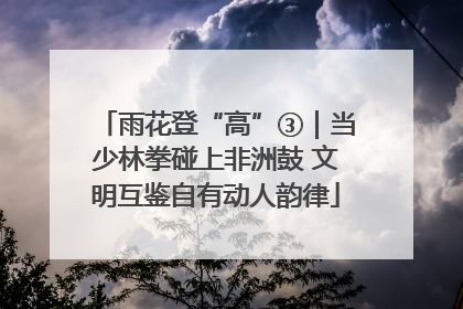 雨花登“高”③｜当少林拳碰上非洲鼓 文明互鉴自有动人韵律