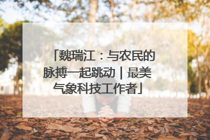 魏瑞江：与农民的脉搏一起跳动｜最美气象科技工作者