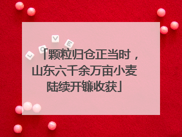 颗粒归仓正当时，山东六千余万亩小麦陆续开镰收获