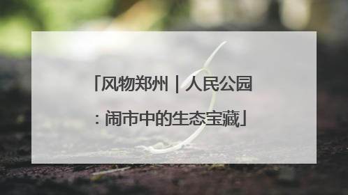 风物郑州｜人民公园：闹市中的生态宝藏