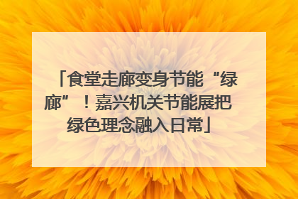 食堂走廊变身节能“绿廊”！嘉兴机关节能展把绿色理念融入日常