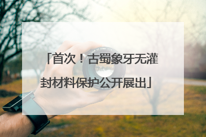 首次！古蜀象牙无灌封材料保护公开展出