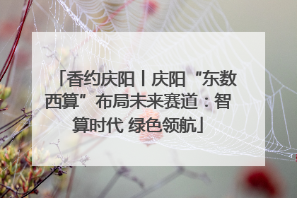 香约庆阳丨庆阳“东数西算”布局未来赛道：智算时代 绿色领航