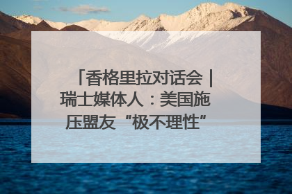 香格里拉对话会｜瑞士媒体人：美国施压盟友“极不理性” 欧洲国家无意与中国“脱钩断链”