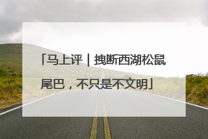 马上评｜拽断西湖松鼠尾巴，不只是不文明