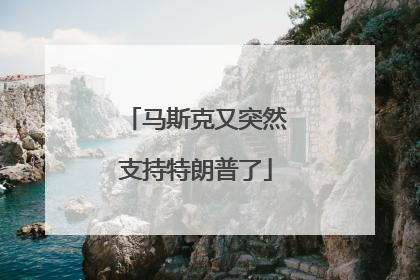 马斯克又突然支持特朗普了