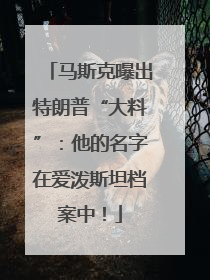 马斯克曝出特朗普“大料”：他的名字在爱泼斯坦档案中！