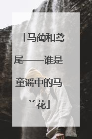 马蔺和鸢尾——谁是童谣中的马兰花