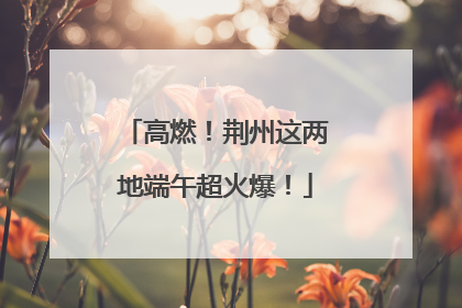 高燃！荆州这两地端午超火爆！
