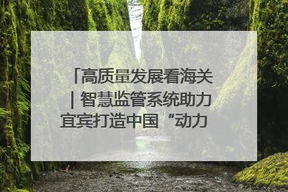 高质量发展看海关｜智慧监管系统助力宜宾打造中国“动力电池之都”