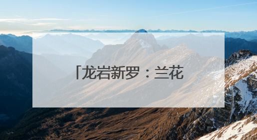 龙岩新罗：兰花经济激活乡村振兴“一池春水”