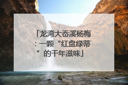 龙湾大岙溪杨梅：一颗“红盘绿蒂”的千年滋味