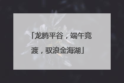 龙腾平谷，端午竞渡，驭浪金海湖