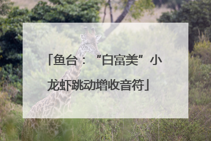 鱼台：“白富美”小龙虾跳动增收音符