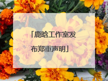 鹿晗工作室发布郑重声明