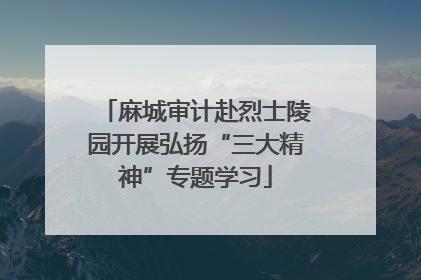 麻城审计赴烈士陵园开展弘扬“三大精神”专题学习