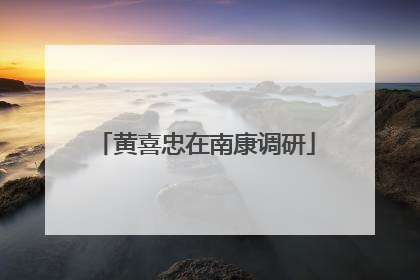 黄喜忠在南康调研