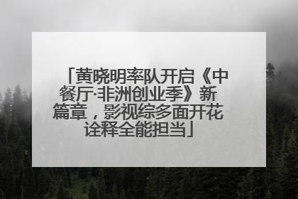 黄晓明率队开启《中餐厅·非洲创业季》新篇章，影视综多面开花诠释全能担当