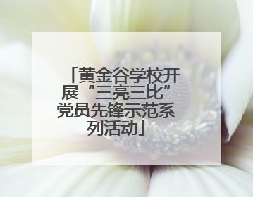 黄金谷学校开展“三亮三比”党员先锋示范系列活动